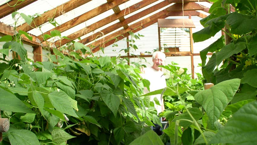 <h1>Visit the greenhouses.</h1><p>At the garden take a look at the green houses.  Green beans, tomatoes, cucumbers, squash, peppers, and zucchini are usually grown there.</p>