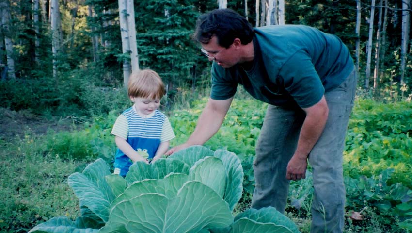 <h1>A giant cabbage year.</h1><p>Long days of sunshine in the right conditions will produce a giant cabbage in many Alaskan gardens.  We grew this one several years ago.</p>